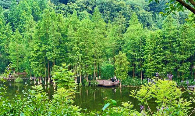 重庆|重庆主城区超凉快的公园，玩水避暑好去处，免费开放轻轨可直达