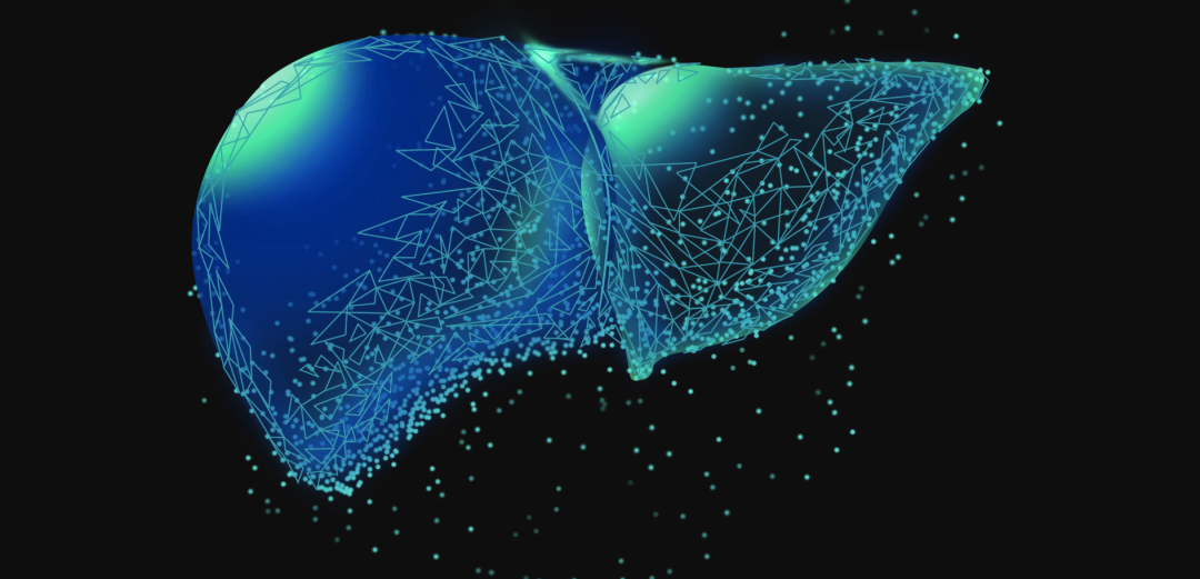 肝癌|肝炎≠肝癌 早检查，早预防，早治疗