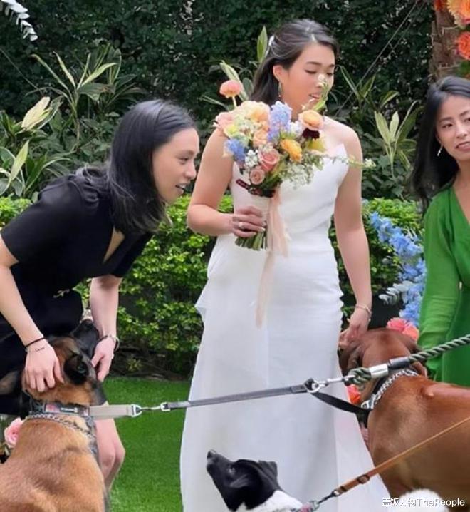 潘粤明|娱圈动静48小时有点大！世纪和解、名导选妃、携三女度假…有人喜有人忧