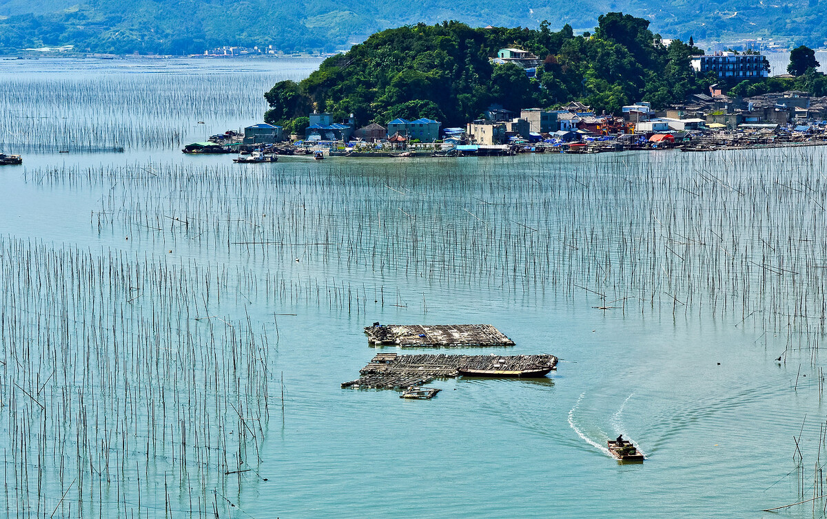 霞浦|郭进拴|霞浦观日出