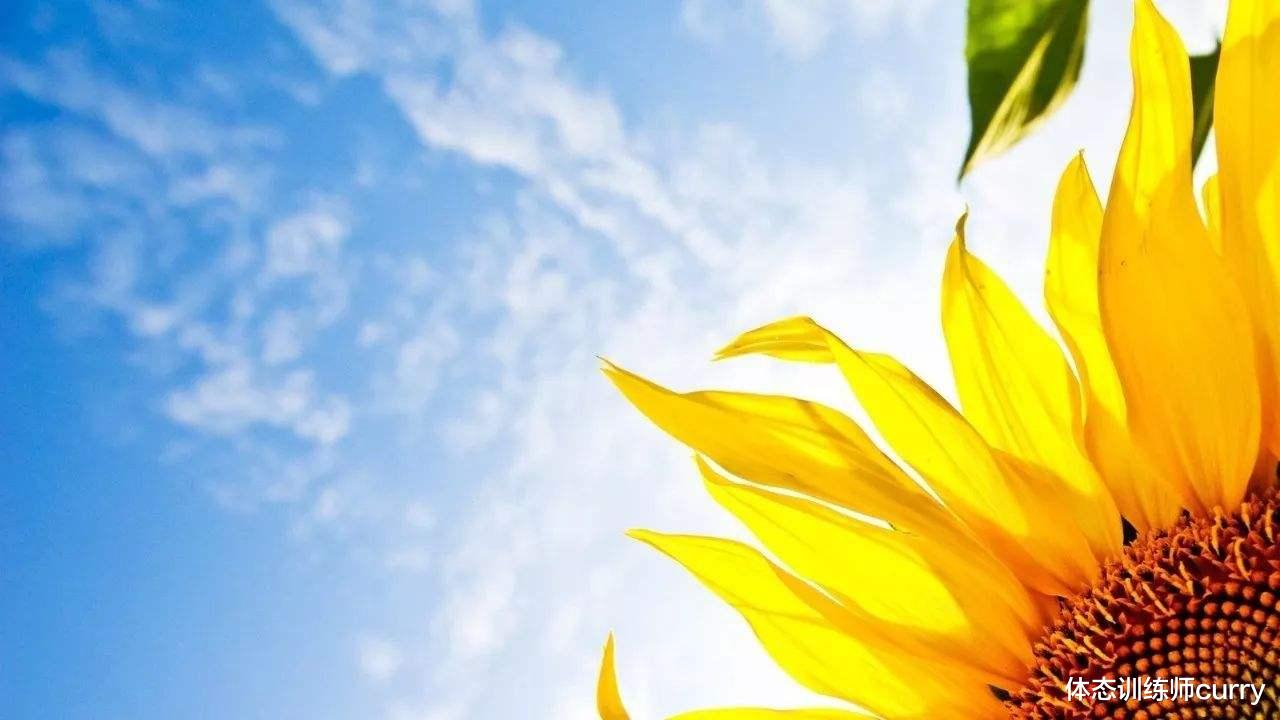 衰老|身体机能衰退，早在去世前十年就给出预警，是真的吗？有啥表现？