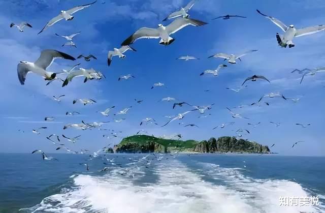 神垕古镇|暑期必备旅行攻略:国内美翻天的8个小众海岛,实在太适合度假了