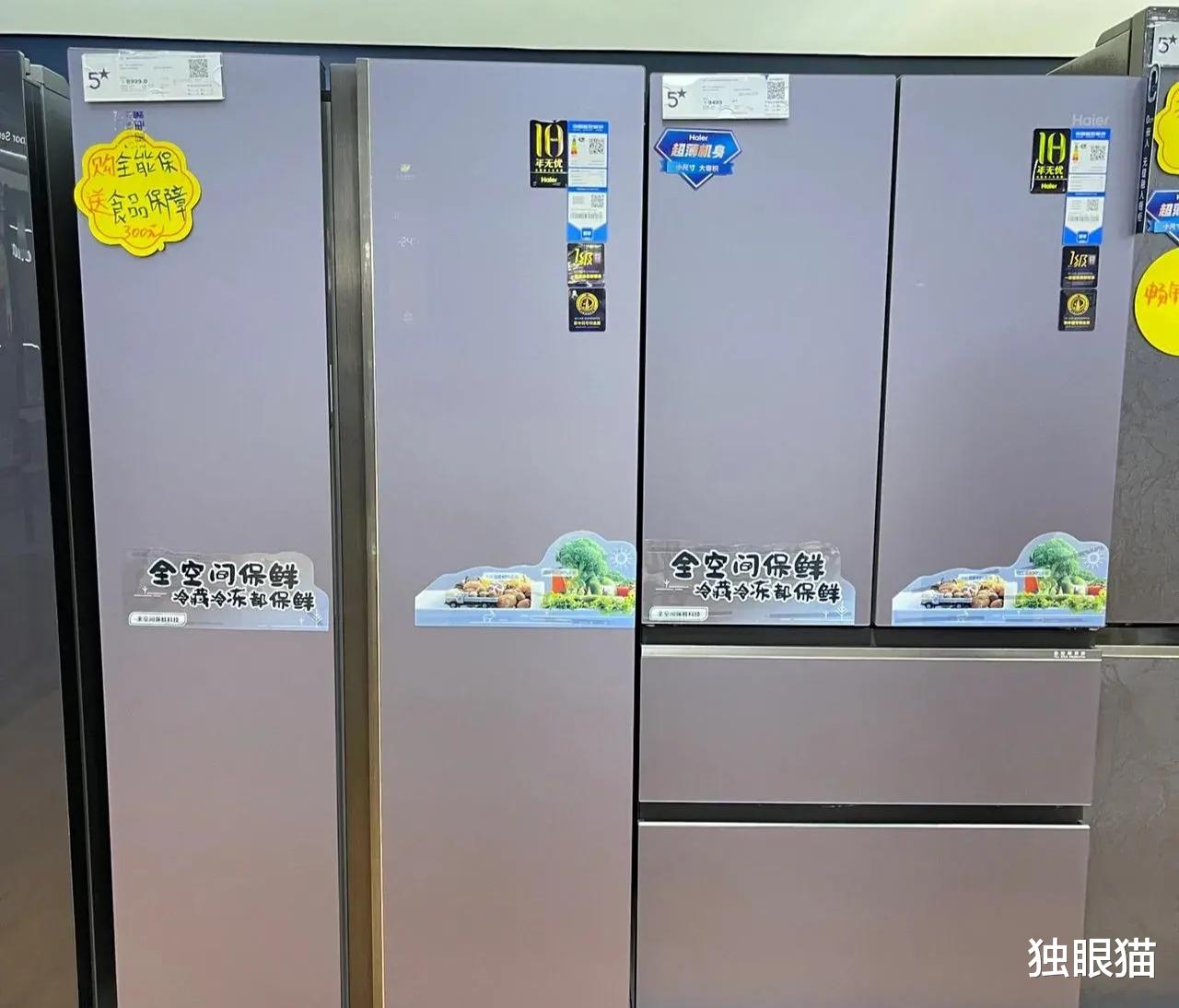 卡萨帝|卖冰箱的劝我别选双开门