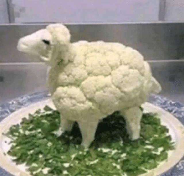 来这家饭店吃烤全羊，才15块一只！当菜端上来时我蒙了...哈哈哈