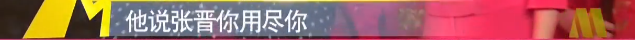 张晋|“西装暴徒”张晋：两次打晕吴京，为涨工资连甄子丹都敢“砍”