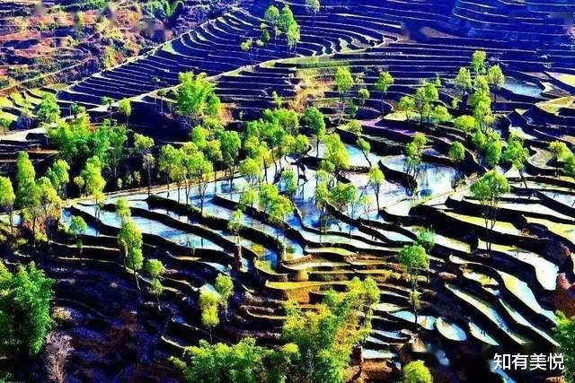 梯田|特别适合夏季旅游的9个美景地，收藏起来，加入你的出行计划吧！