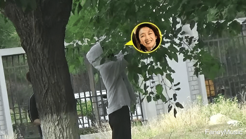 周冬雨|网传恋情后首现身,周冬雨公园摘桑葚破管理条例,网友:素质太低