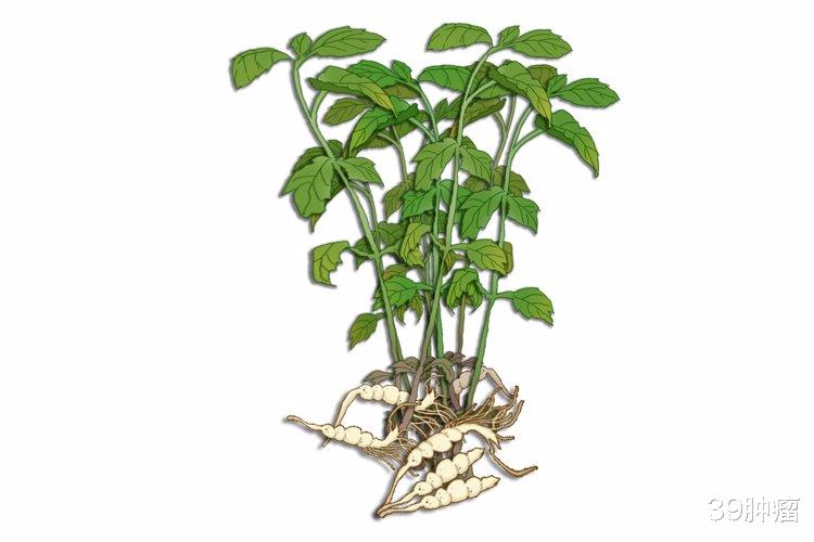 重金属|停售,紧急召回!多批药品被查出含有重金属,危害有多大?