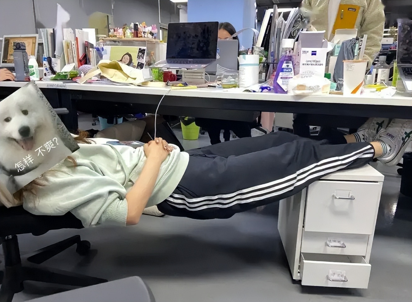 大学生|“神仙工位”走红,办公桌边上就是床,网友:真以为是关心你?
