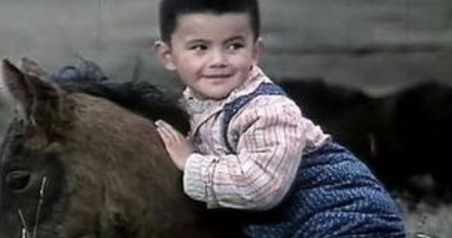 童星|8位“天才童星”现状,多人大起大落,两人锒铛入狱,命运差距大