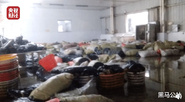 galaxy z flip|315晚会:这些网红有点“无耻”、老坛酸菜太恶心、软件捆绑很烦人……