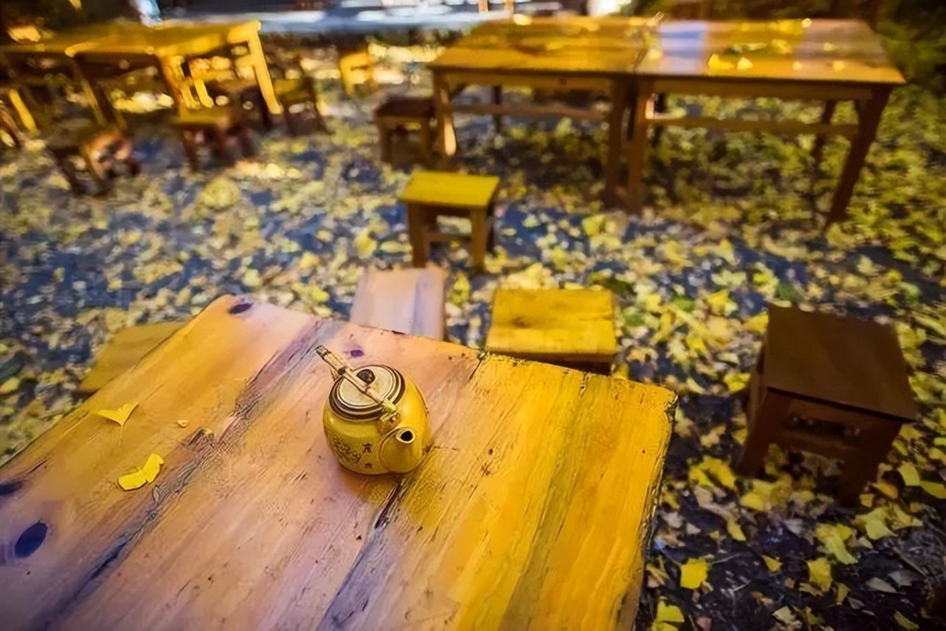 旅行社|这个秋天,你不能错过腾冲银杏村