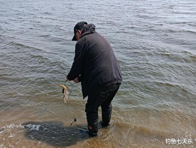 摄像头|辽宁:多位老者在浑河边垂钓,鱼竿上装个摄像头,啥操作?