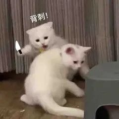 便利蜂|从三年万店到关店裁员,这家便利店该何去何从?