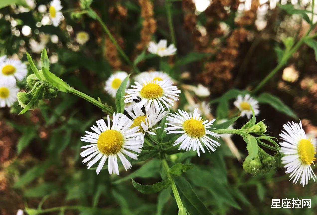 |哪几个时辰出生的人,好运会找上门,挖掘潜力让人生上更高台阶