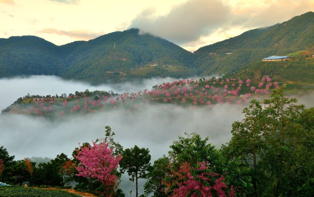 云南|云南有个低调的小众景区,风景却格外优美,门票免费却鲜少人知