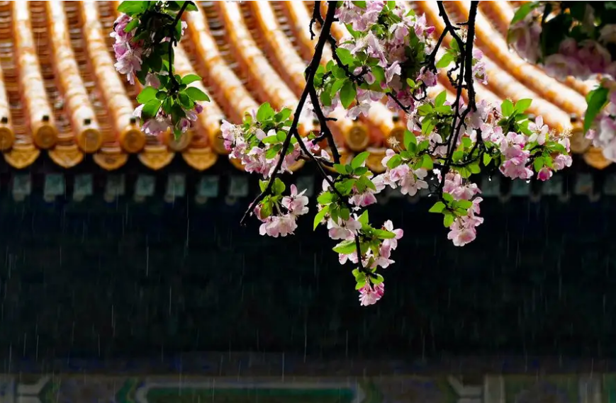 面相|春回大地 2月下旬21日至28日 哪些天是好日子