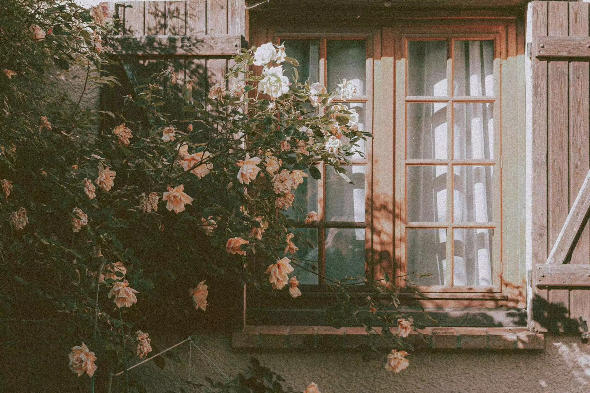 人际关系|健康的人际关系应该是怎么样的？