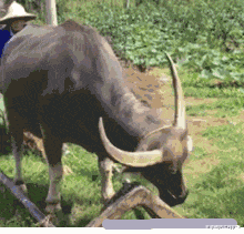 我的世界|“钓鱼被咬了一口,谁知道这是什么咬的?”