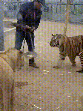 神回复|神回复：一觉睡醒，发现自己是一线明星，你会先做什么？