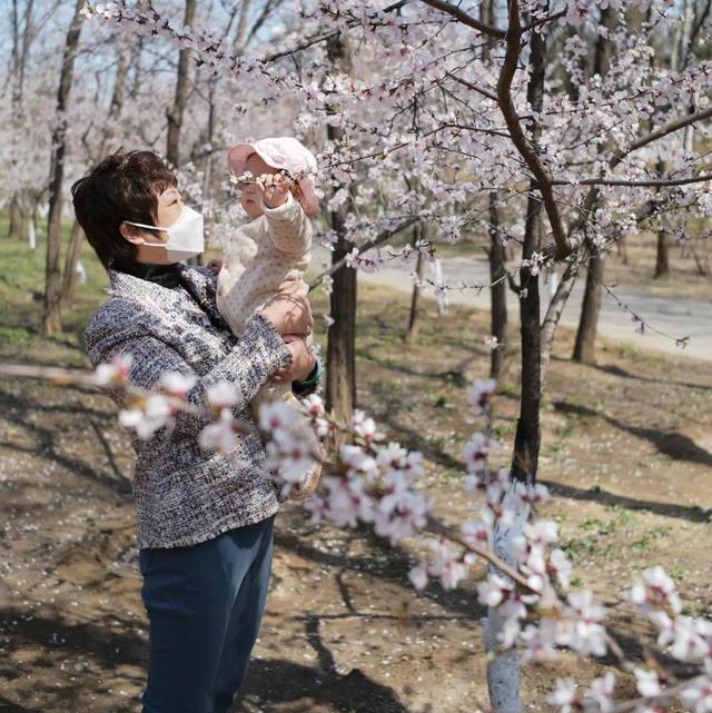 季后赛|女排2大美女隔空比美！惠若琪抱娃赏花，张常宁骑老公背上秀恩爱