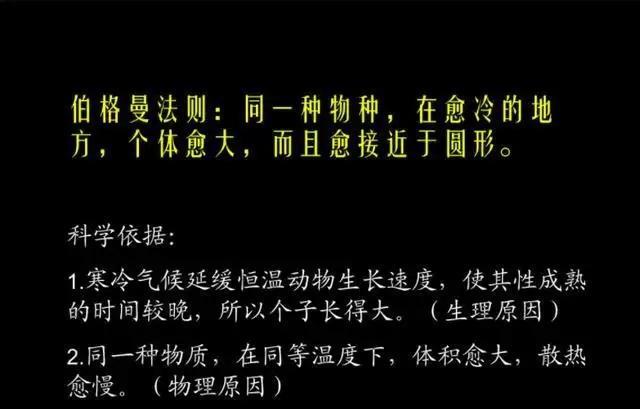 从6500万头到25头,再到国兽,美洲野牛究竟经历了什么?