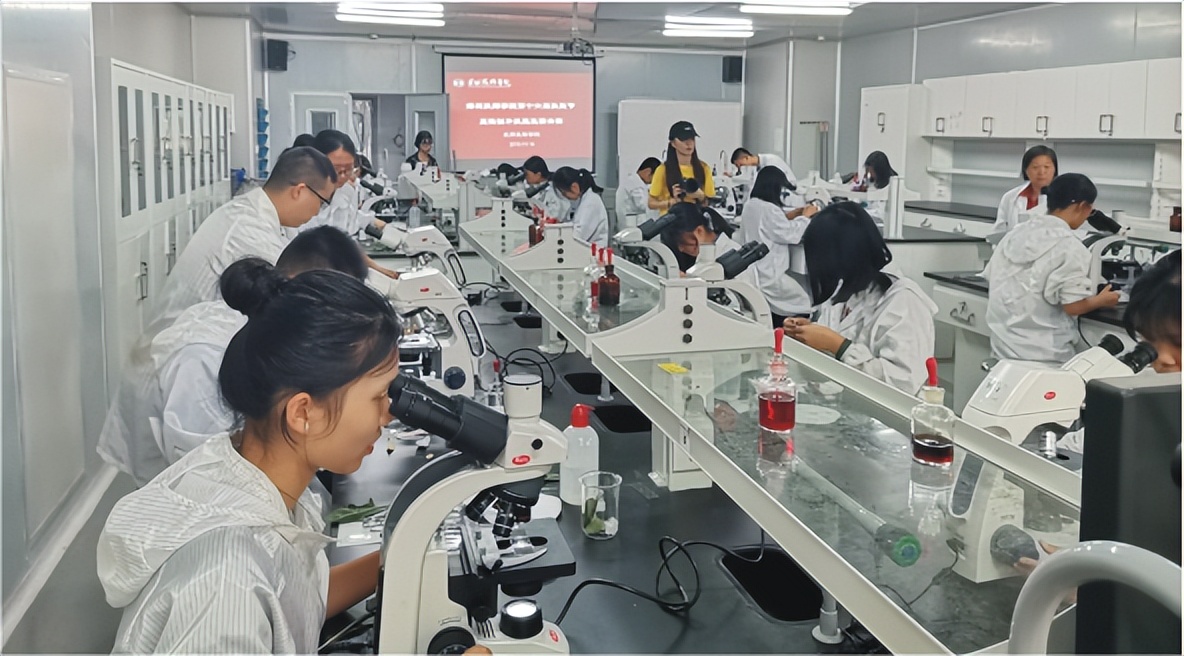 深圳市|这所学校学生满意度更高？这些独特优势话你知