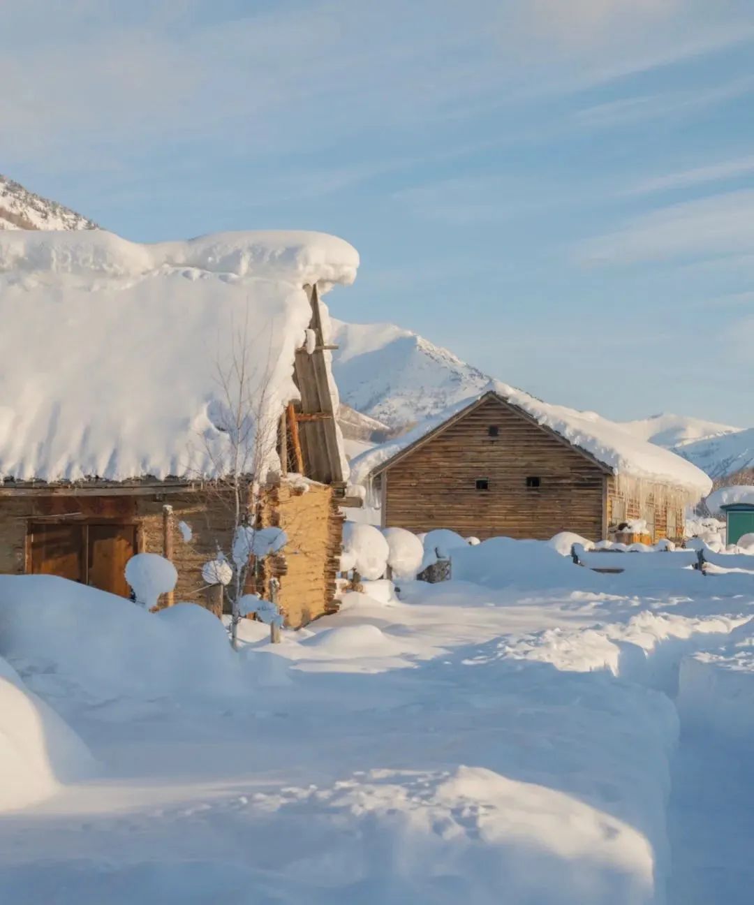 小红书|想和你再见一面,在新疆的冬天