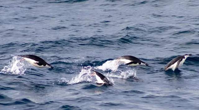 Twitter|四年试错，腾讯To B取舍了什么？