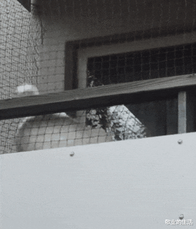 “这是我和弟弟的房间,难道这就是穷养儿富养女”连装修都懒得装!