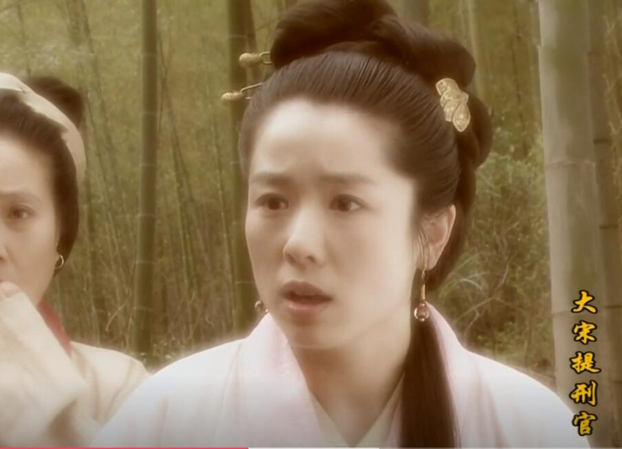 大宋提刑官|《大宋提刑官》:当年只顾着看案情了,现在重温发现藏着10位美人