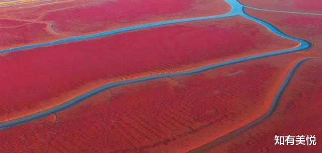黑龙江|国内值得去的六大沼泽湿地,每个都美得与众不同,你去过几个呢?
