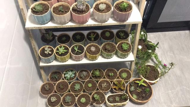 新房完工迫不及待入住,简约装修超实用,邻居上门都说装修很漂亮