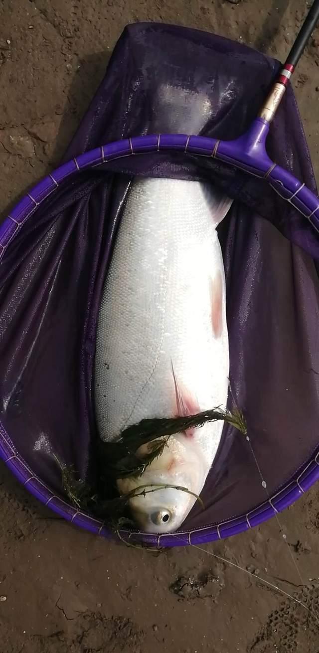 |浅谈深秋野钓的天气,选对出钓时机可事半功倍