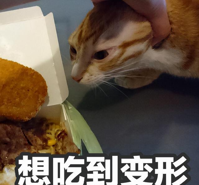 冬季减肥 冬季减肥,嘴馋的女生可多吃这4种小零食,热量低,好吃营养高
