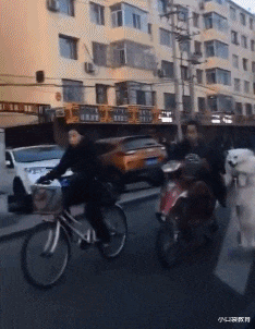 |“钓鱼被咬了，不过钓到了一条招财龙鱼，不亏啊”评论沸腾了