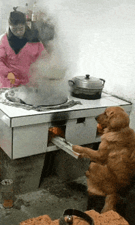 空军|“钓鱼的时候飞到我手上的，第一次见，有知道这是什么的吗？”