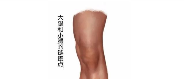 人类没发展出攻击性器官?其实有四大攻击手段,只是我们浑然不知