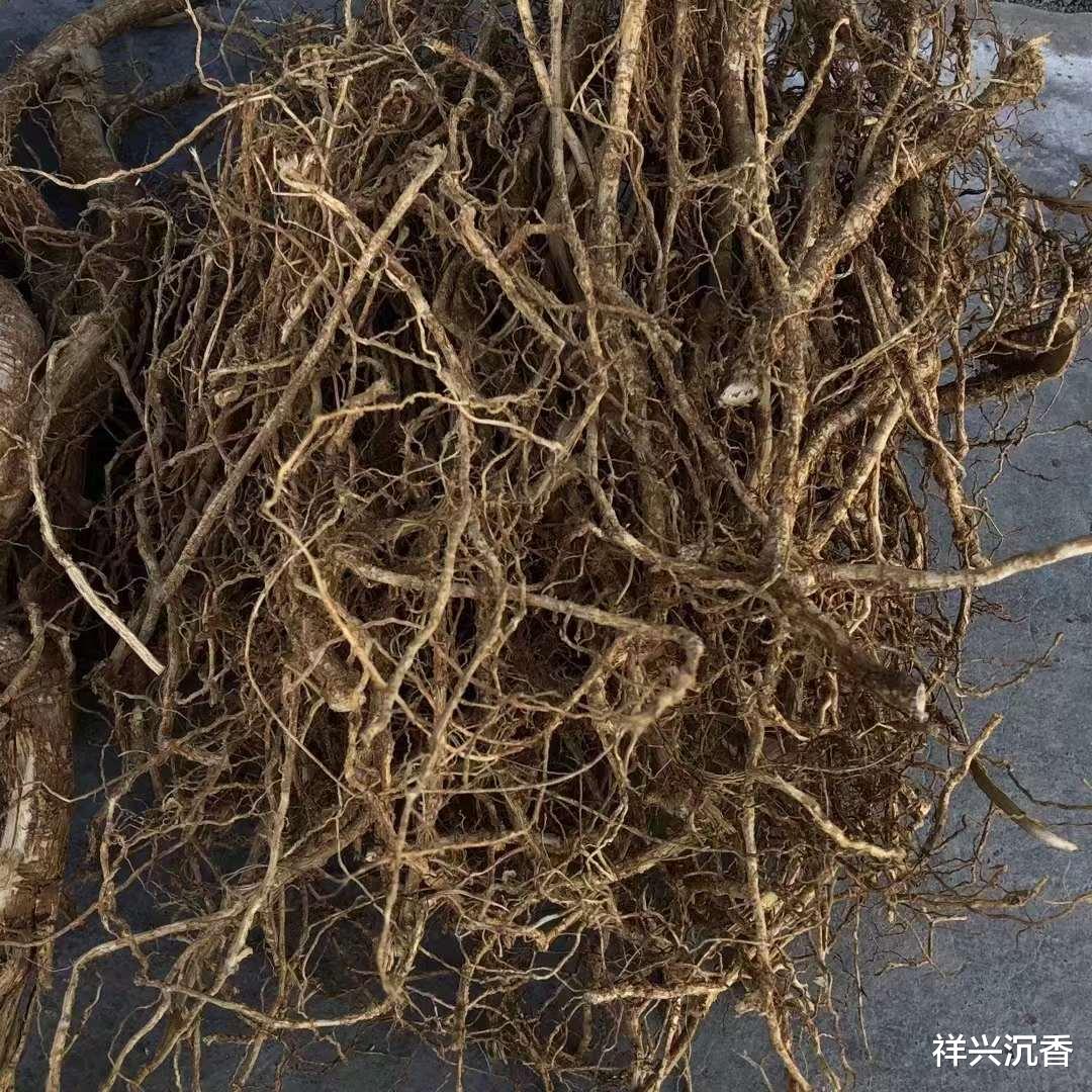 沉香|在静心宁神之间品沉香之“美”