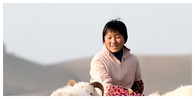 林依轮|变形计杨杜鹃:给林依轮当女儿,明星父母助其圆梦,如今怎么样了