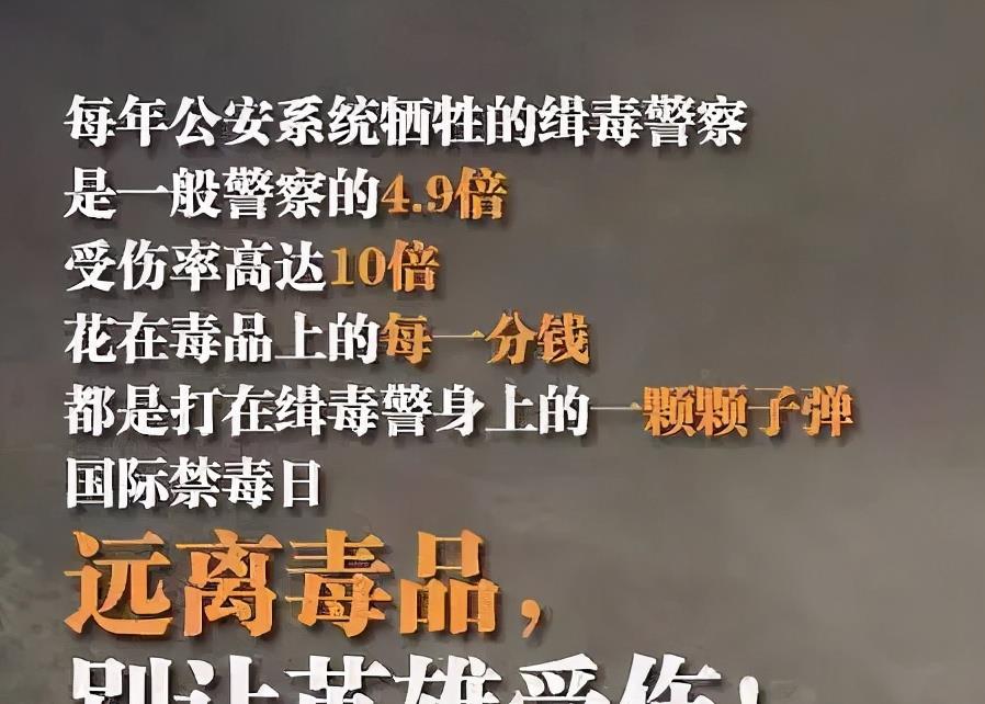 警察 警察和毒贩炒CP，洗剪吹发型当卧底，这是缉毒版“雷霆战将”？