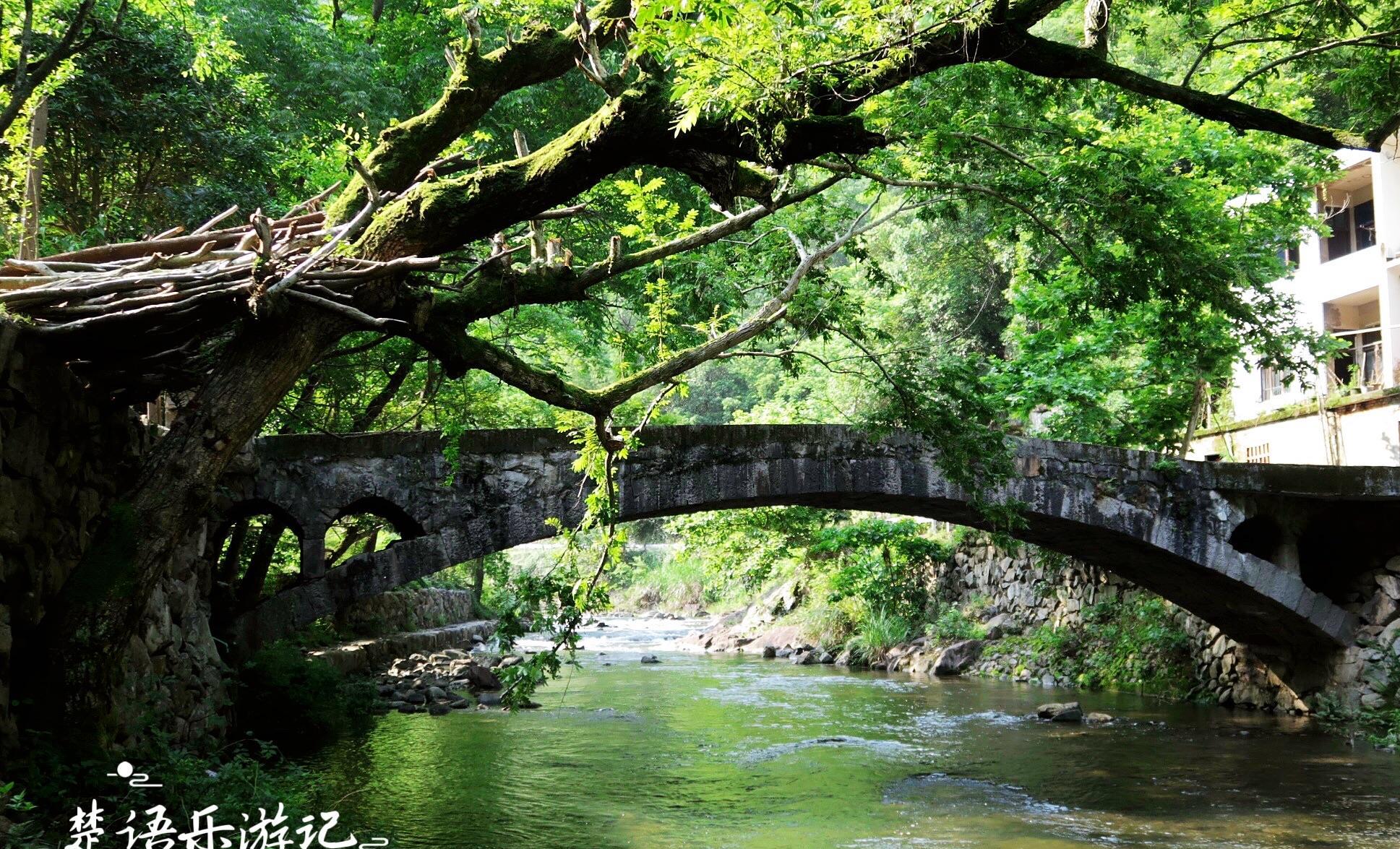 浙江省|浙江这个被时光遗忘的古村，竟有诗画般的风景，被誉为江南秘境