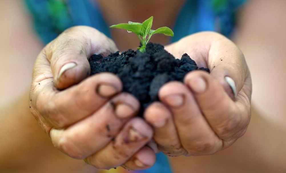 灭绝的史前生物再次出现，生命是一遍遍的轮回吗？每13万年循环一次