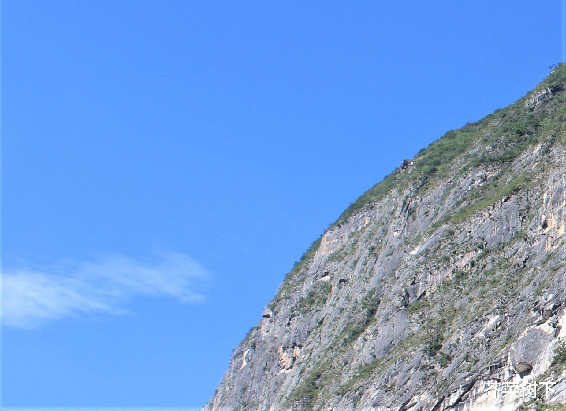 tiktok|团队半死不活,算是谁的锅?