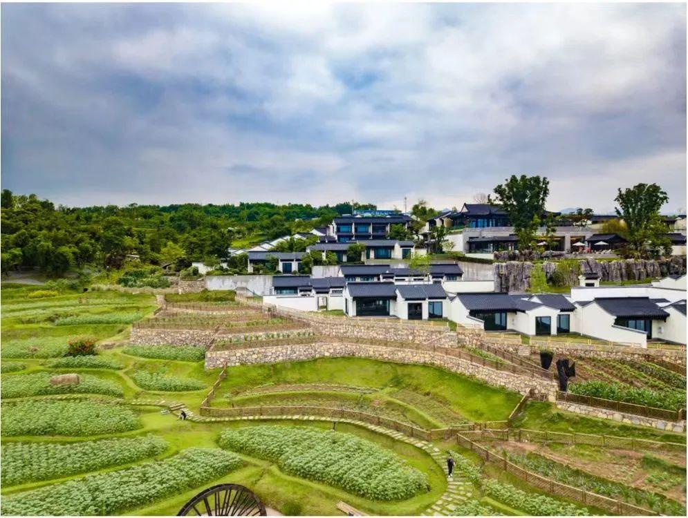 大理|你和“诗与远方”之间,只隔着一个田园牧歌的院子