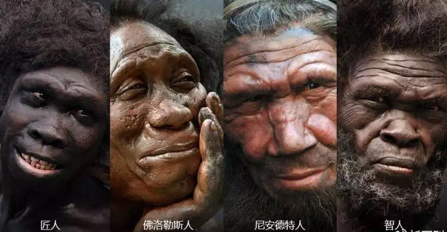 现在人类如何称霸全球?对其他人类物种赶尽杀绝,搞种族净化运动