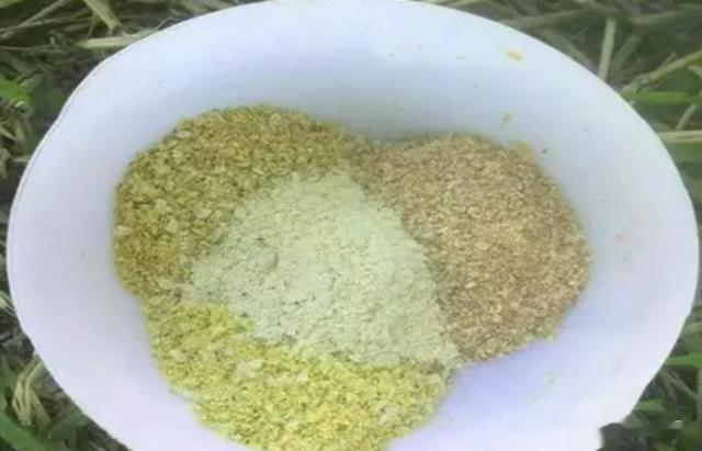 饵料|盛夏野钓别人连竿自己没口?饵料选择是关键,大师的秘密就在此