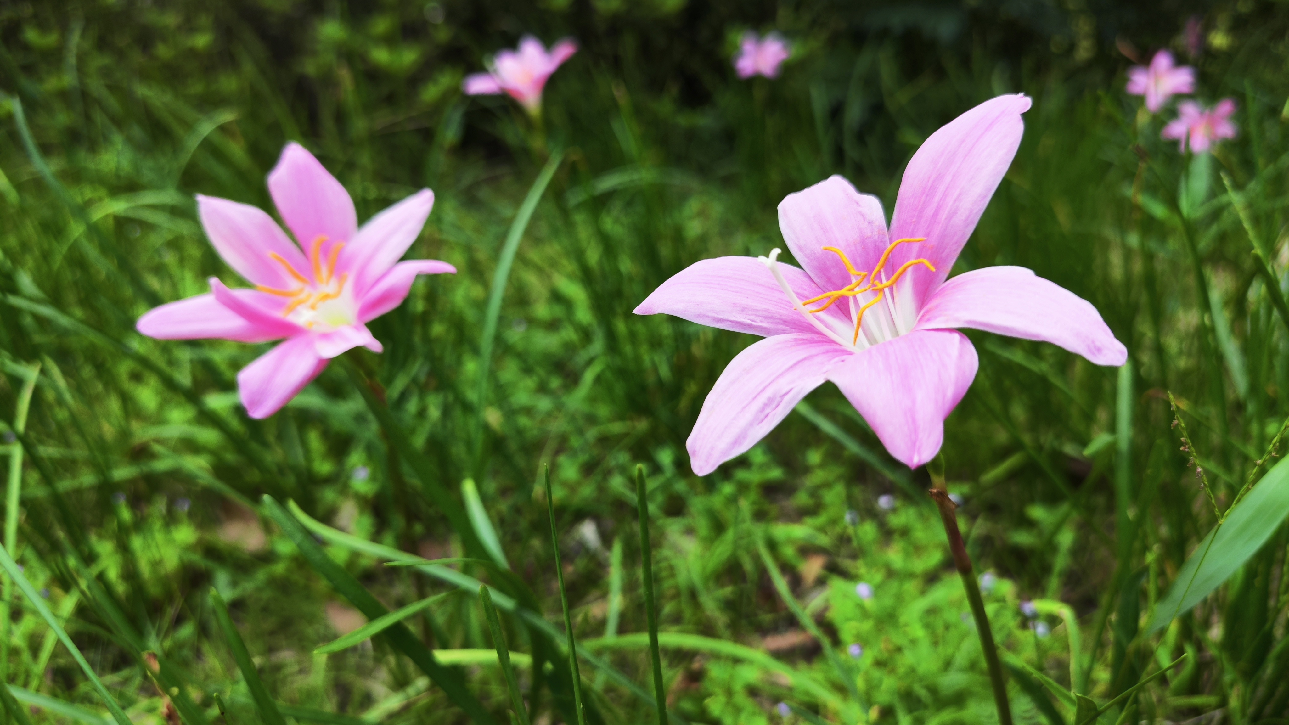 在大都市,乘坐公共交通都大有学问