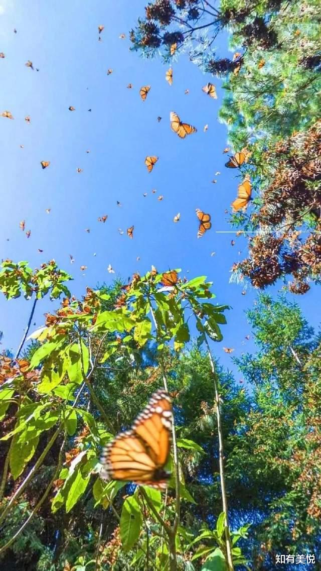 草原|适合初夏去的12个地方，每一个都堪称避暑胜地，赶紧收藏起来吧！