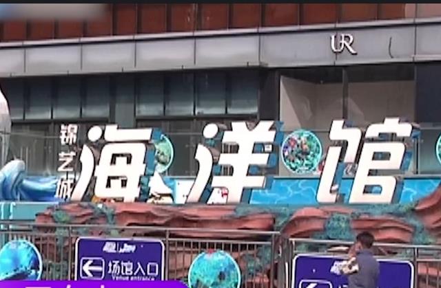 女子海洋馆游玩被割掉头皮,去索赔却遭暴力殴打,负责人态度嚣张